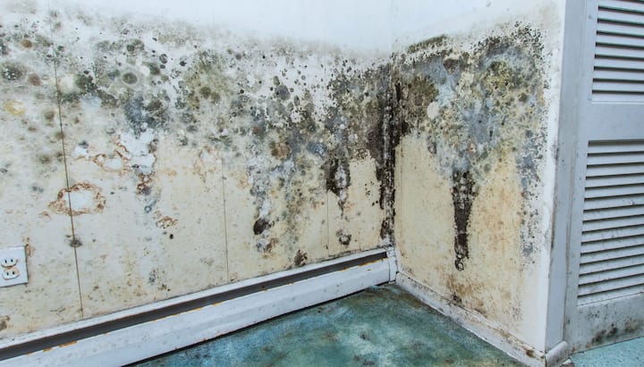 Professional mold removal, odor control, and water damage restoration service in West Palm Beach, Florida.