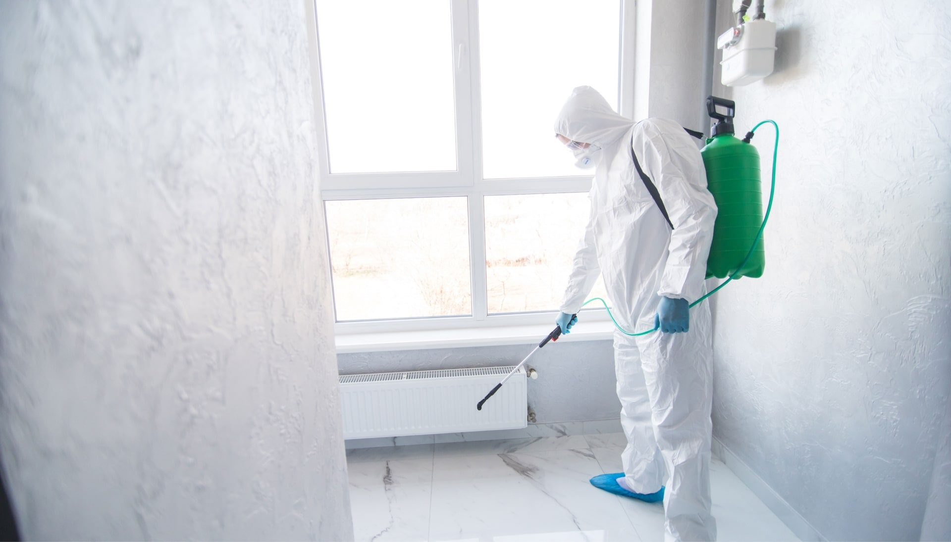 We provide the highest-quality mold inspection, testing, and removal services in the West Palm Beach, Florida area.